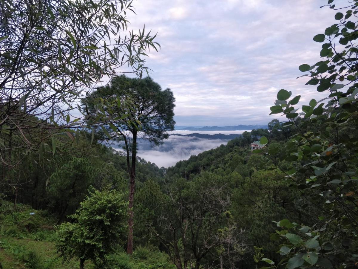 The Asgard Kasauli Bed & Breakfast Eksteriør bilde
